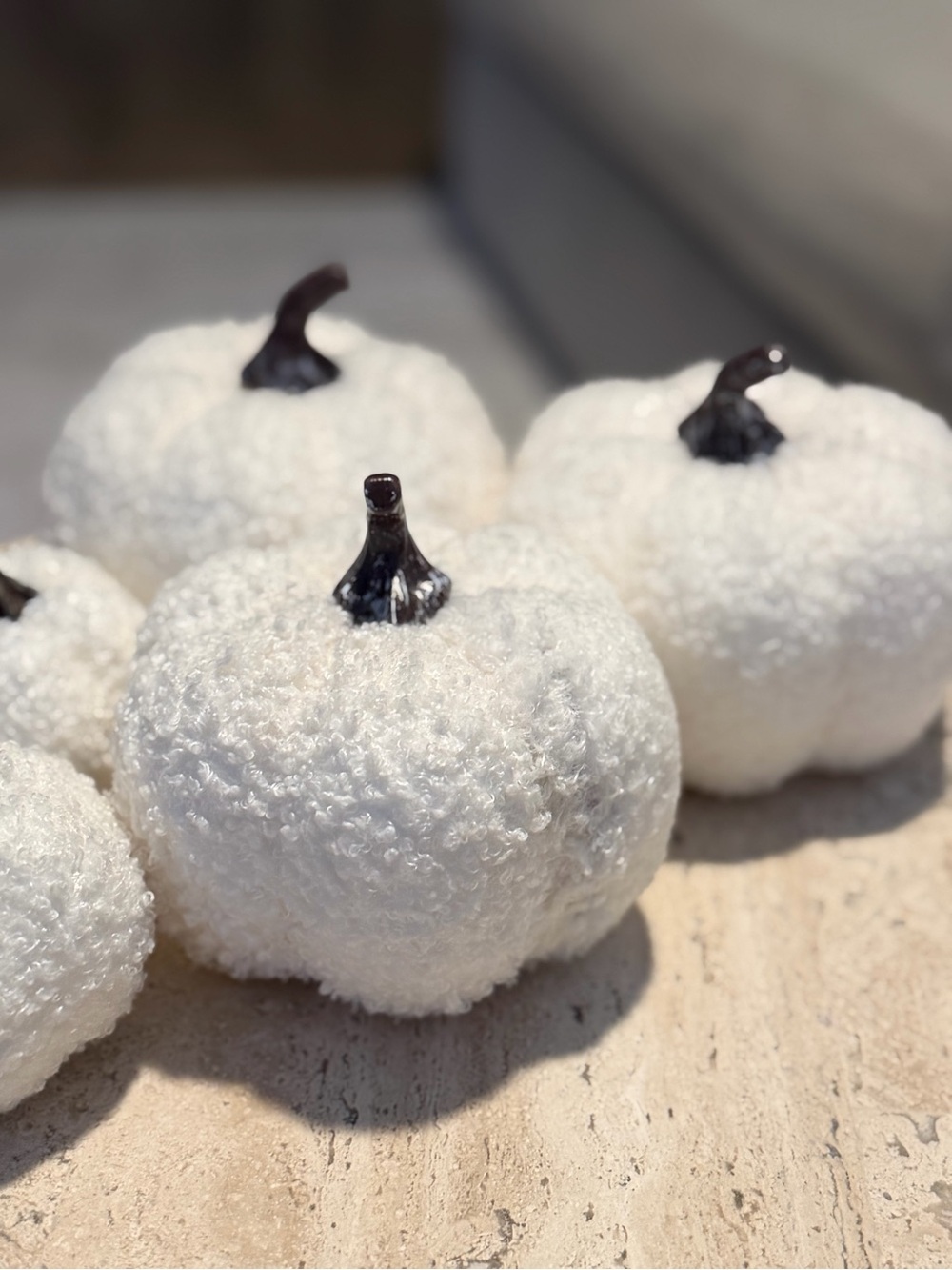 Pumpkin Decor Set of 6